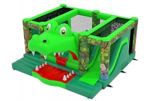 Crocodile